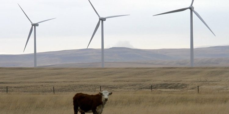 Solar, Wind Emerge as Canada’s Cheapest New Power as Prices Fall by Half