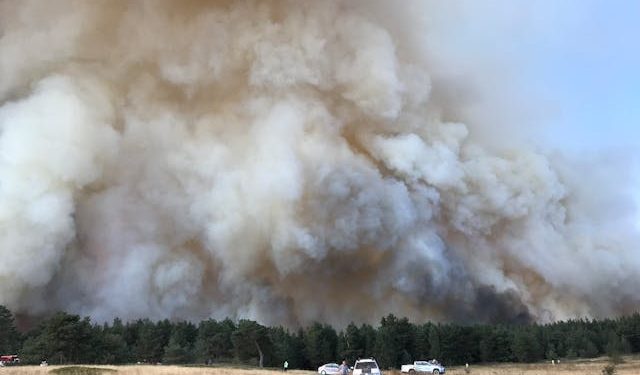 Growing Evidence Points to Link Between Autism and Wildfire Smoke