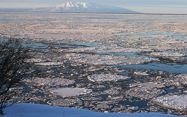 ‘Too Expensive, Too Risky’: Why Trump’s Alaska Oil Auction Drew Zero Bids