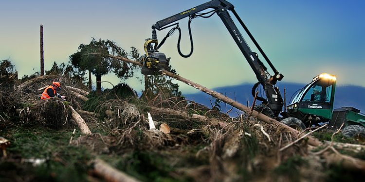 A Landmark Study on Biodiversity Loss Takes Aim at Harmful Subsidies