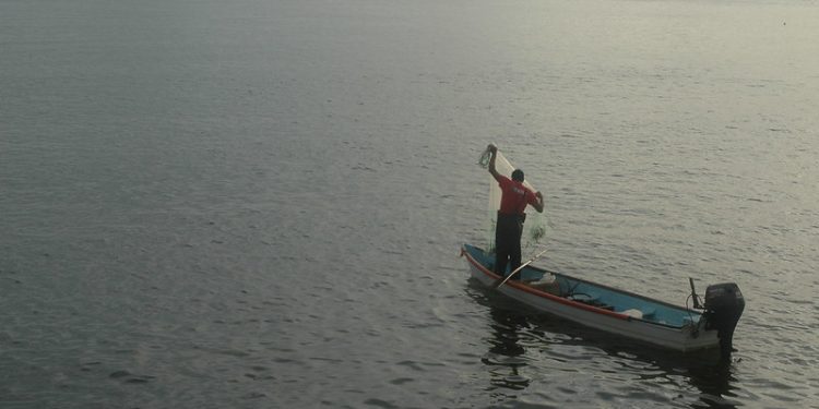 Oil Spill Deals Economic Blow to Fishermen in the Gulf of Mexico