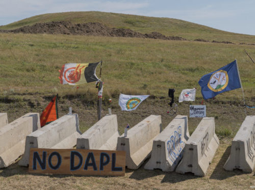 What to Know About Greenpeace and the Oil Pipeline Lawsuit that Threatens its Future