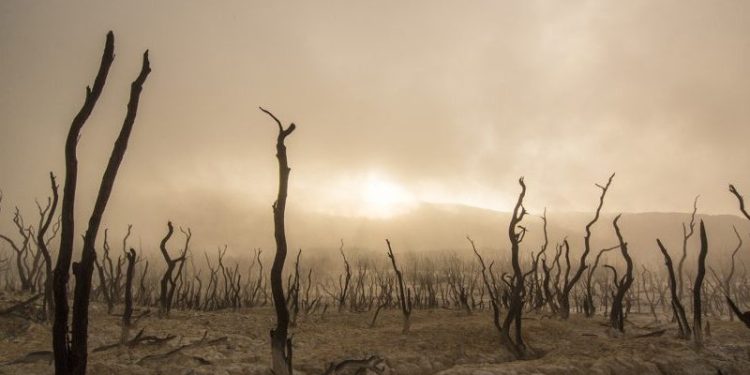Pace of Global Warming Nearly Double Since 2015 While Heat and Drought Combine More Often