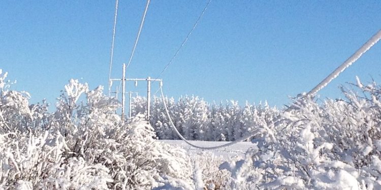 ‘Nation-Building Milestone’ as 10 Provinces, Territories Pledge to Boost Grid Infrastructure