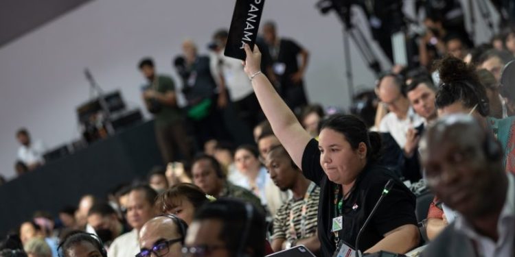 A Climate Summit at the Crossroads: Why COP31 in Türkiye Matters