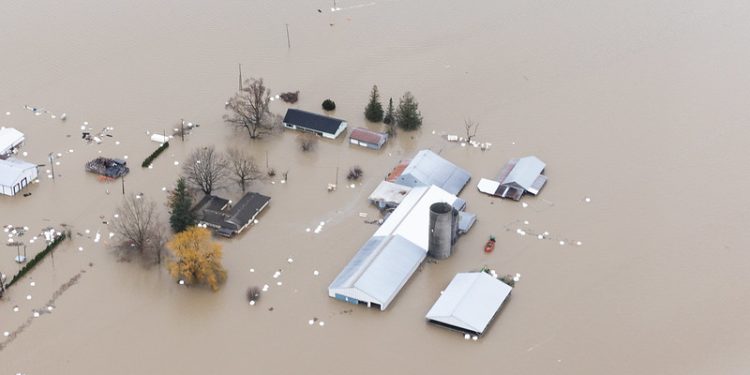 When Insurance Fails, Who Will Pay for Climate Damages?