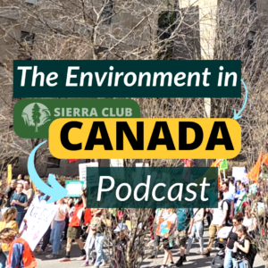 Canada Strong Fund or Sovereign Wealth Fund, Spring Economic Update, & Asset Recycling
