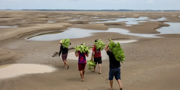 The World Is Getting Too Hot to Feed Itself