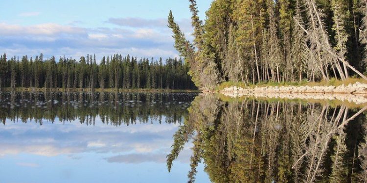 Carney’s $3.8B Nature Plan Calls for Additional Private Capital, Drawing Criticism