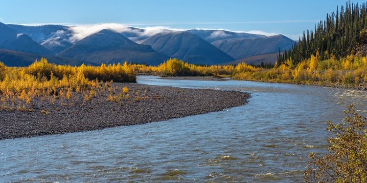 As Permafrost Thaws, Some Headwaters in Canada’s North Turn Orange and Toxic: Study