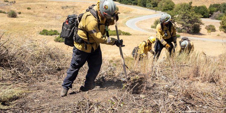 What to Know About the Predictions for a Potentially Record-Breaking El Niño