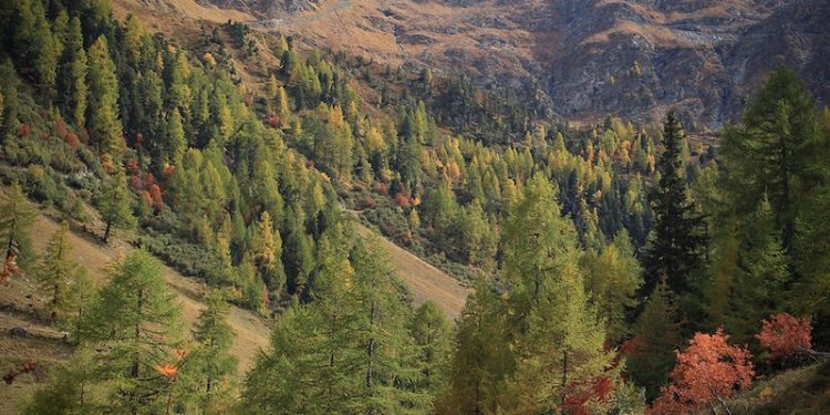 Droughts May Drive Antibiotic Resistance in Soil