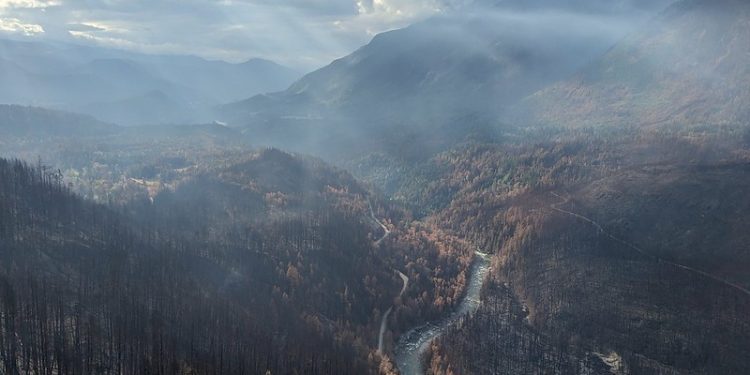 Senate Committee Report Calls for Better Co-Ordination of Wildfire Response