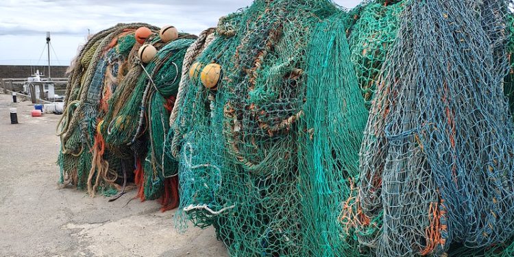 Despite Decades of Warnings, British Fish Stocks Are Collapsing