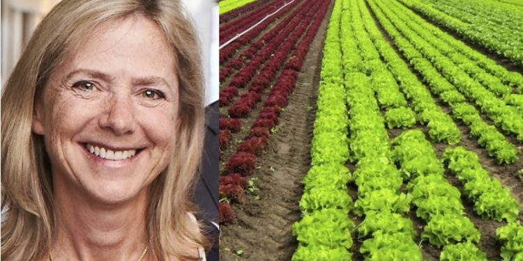 Q&A: Focus on Food is a ‘Powerful Lever’ to Talk Climate, Sequester Carbon, Lawson Says