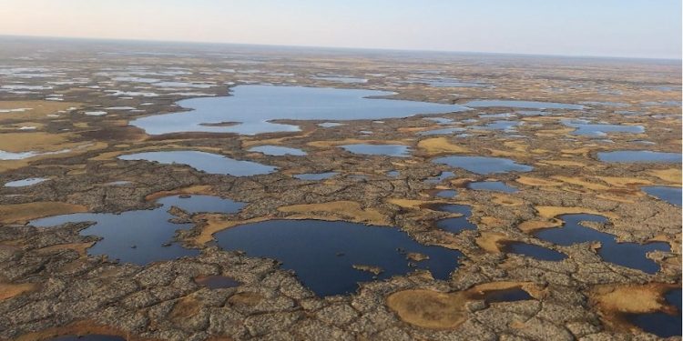 Lawyer Warns of Cumulative Impact as First Nations Group Challenges Ring of Fire Road