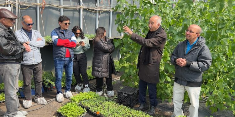Passive Solar Greenhouses: Could Be the Key to Local Food in Northern Climates