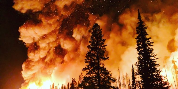 Wildfires Rage Across 2 Continents as Shell Posts ‘Scandalous’ $9.8B Quarterly Profit