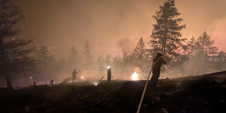 Returning Home Different for Everyone After ‘Monster’ Wildfire in B.C.’s Okanagan